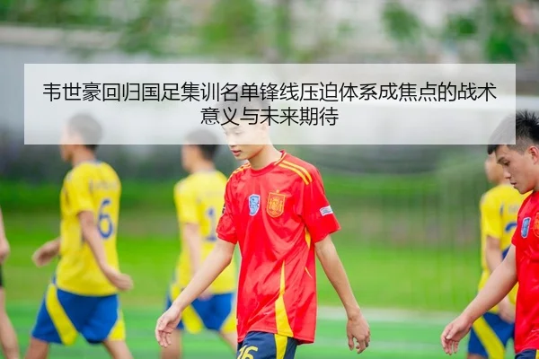 韦世豪回归国足集训名单锋线压迫体系成焦点的战术意义与未来期待 - LEDONGSPORTS