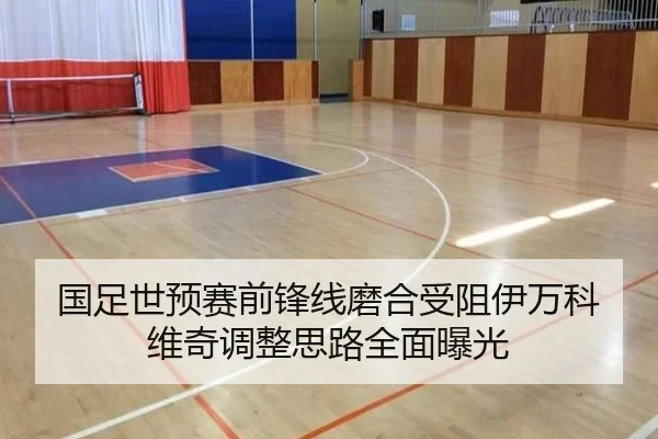 国足世预赛前锋线磨合受阻伊万科维奇调整思路全面曝光 - LEDONGSPORTS